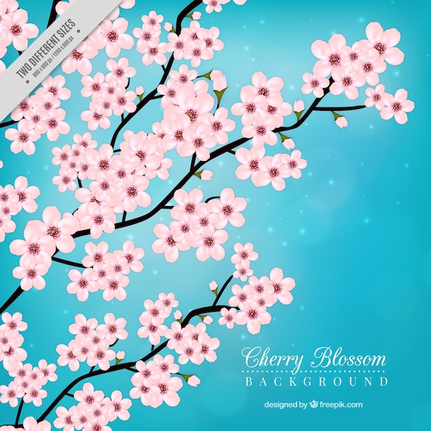 las flores de cerezo