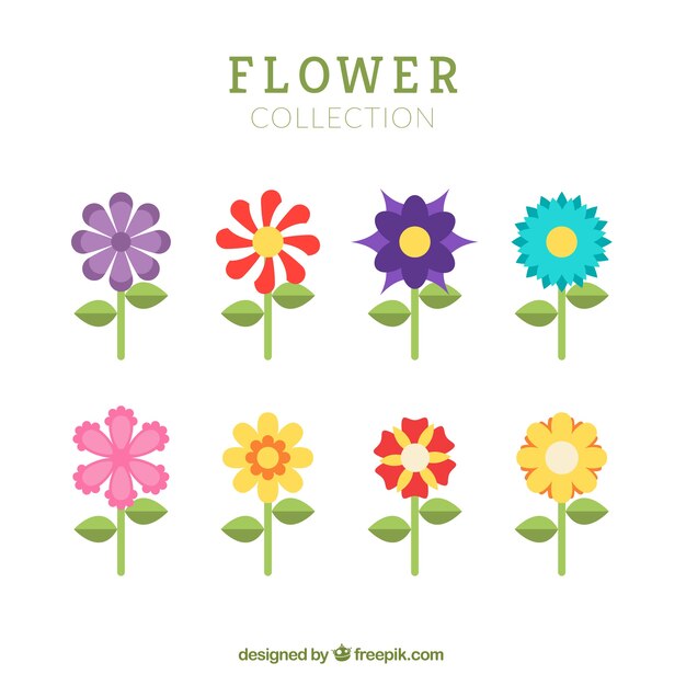 Flores coloridas en diseño plano