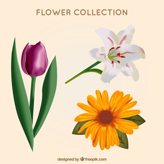 Flores decorativas en estilo realista