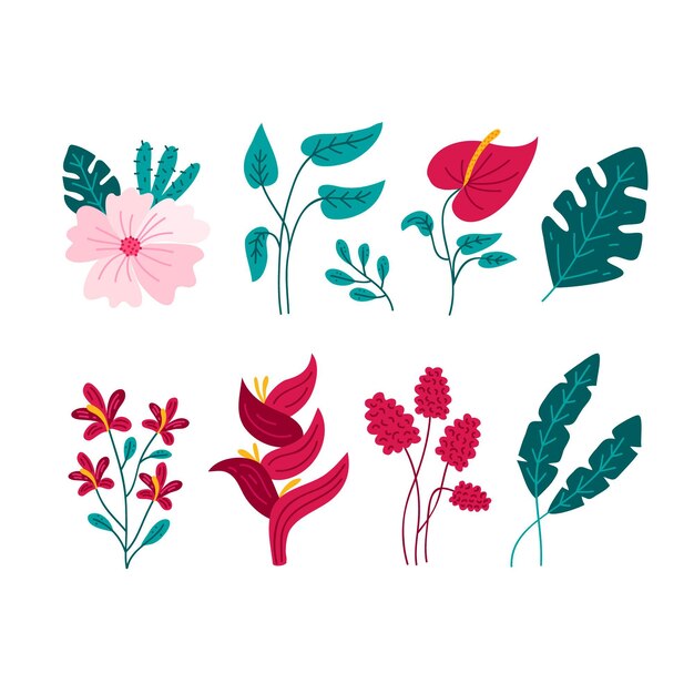 Flores exóticas con hojas aisladas sobre un fondo blanco