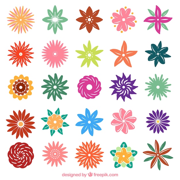 Flores florecientes en estilo minimalista