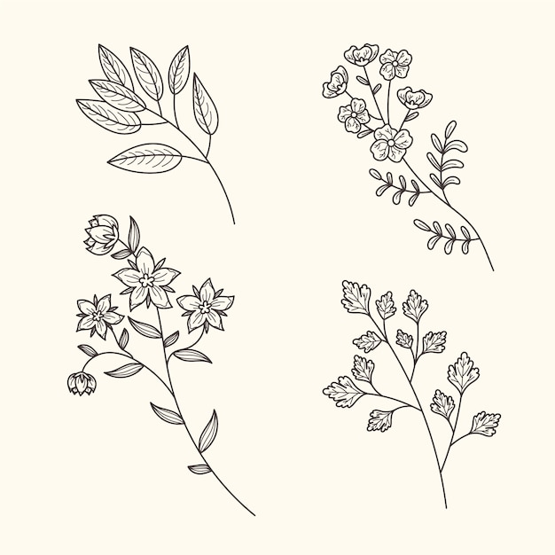 Flores y hierbas botánicas vintage