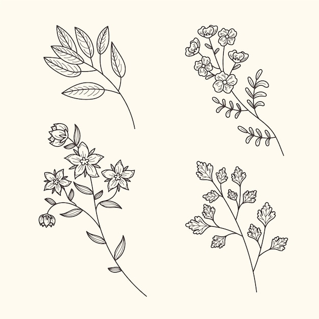 Vector gratuito flores y hierbas botánicas vintage