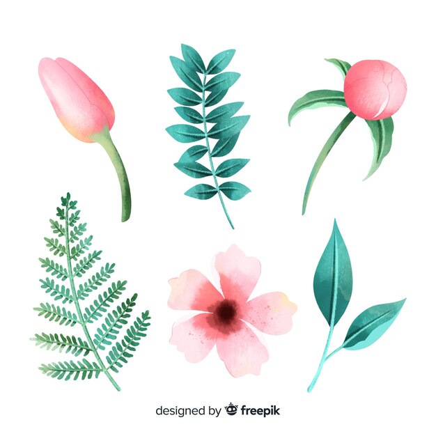 Flores y hojas de acuarela