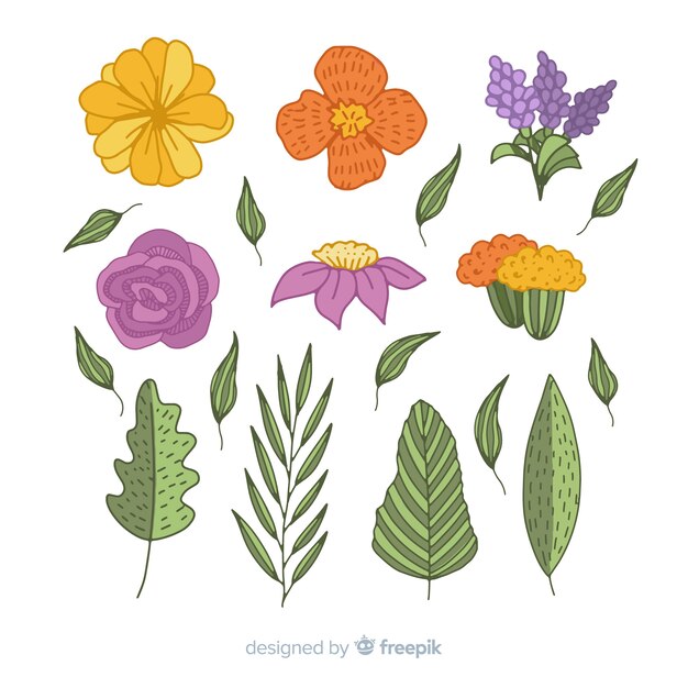 Flores y hojas dibujadas a mano