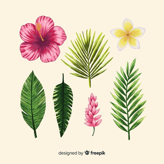 Flores y hojas tropicales dibujadas a mano