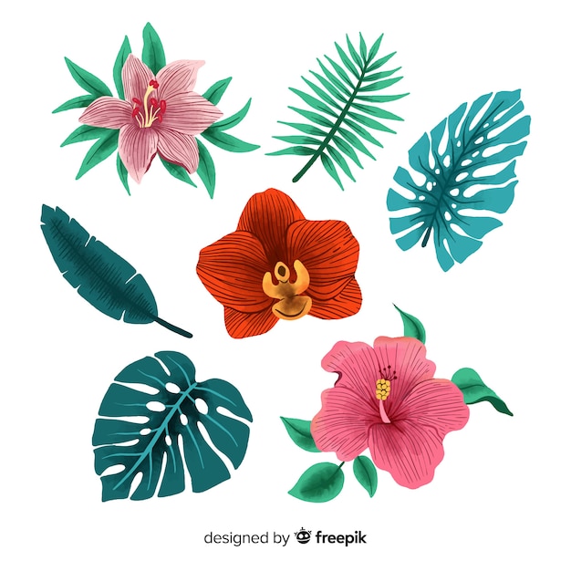 Vector gratuito flores y hojas tropicales dibujadas a mano