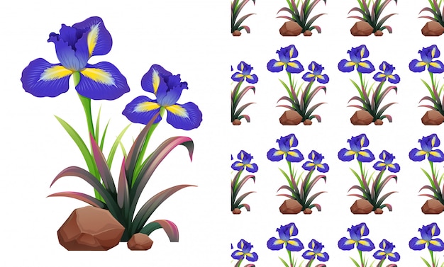 Vector gratuito flores de iris sin costura en rocas