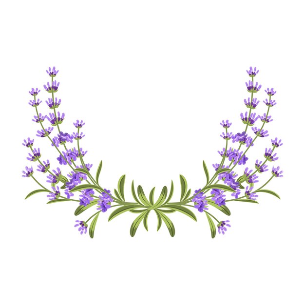 Flores de lavanda con hojas verdes