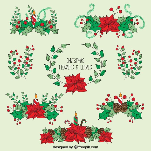 Flores de navidad dibujadas a mano y hojas