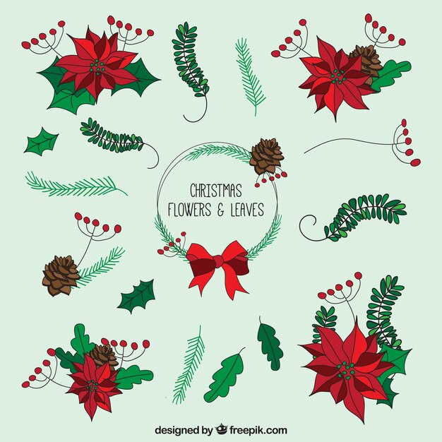 Flores de navidad y hojas esbozadas a mano