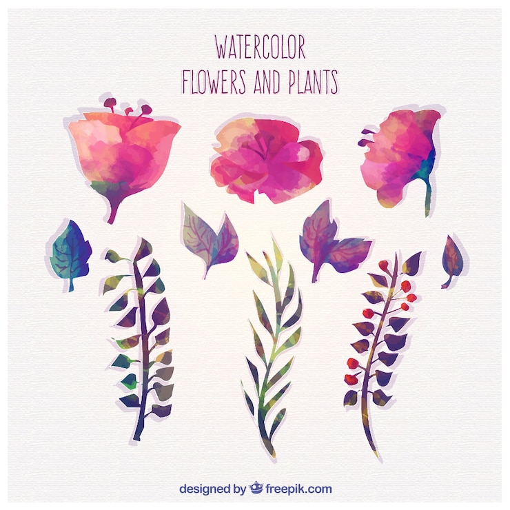 Vector gratuito flores y plantas de acuarela