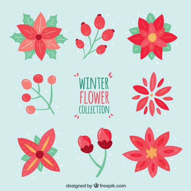 Flores rojas de invierno sobre un fondo azul