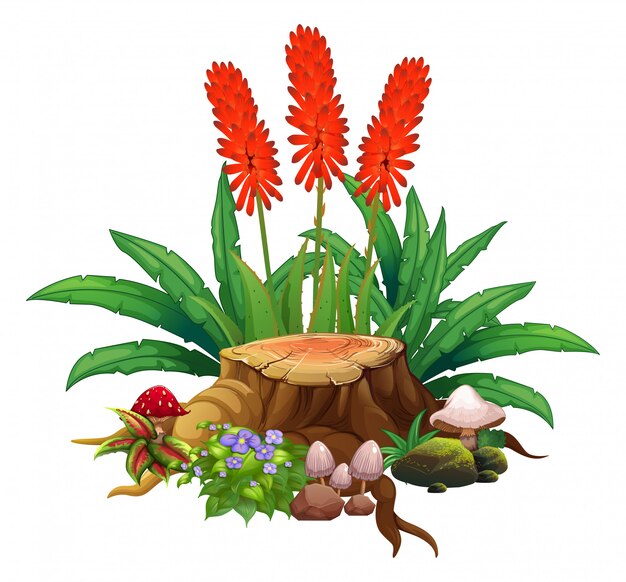 Flores rojas y madera