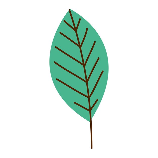 follaje de la planta de hoja