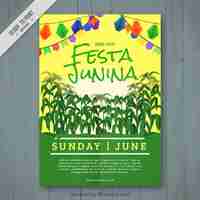 Vector gratuito folleto de fiesta junina con cosecha