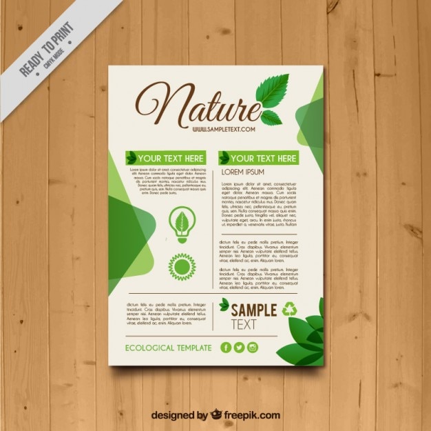 Folleto de naturaleza con hojas