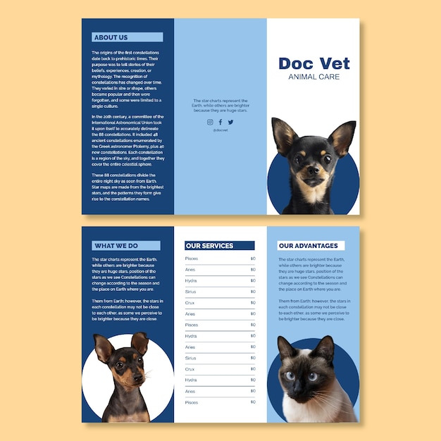 Vector gratuito folleto profesional de cuidado de animales doc vet