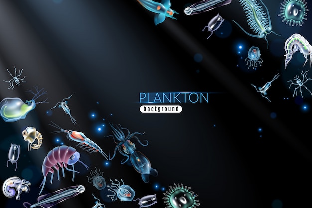Fondo abstracto de plancton con diferentes organismos marinos pequeños ilustración de dibujos animados de fitoplancton y zooplancton