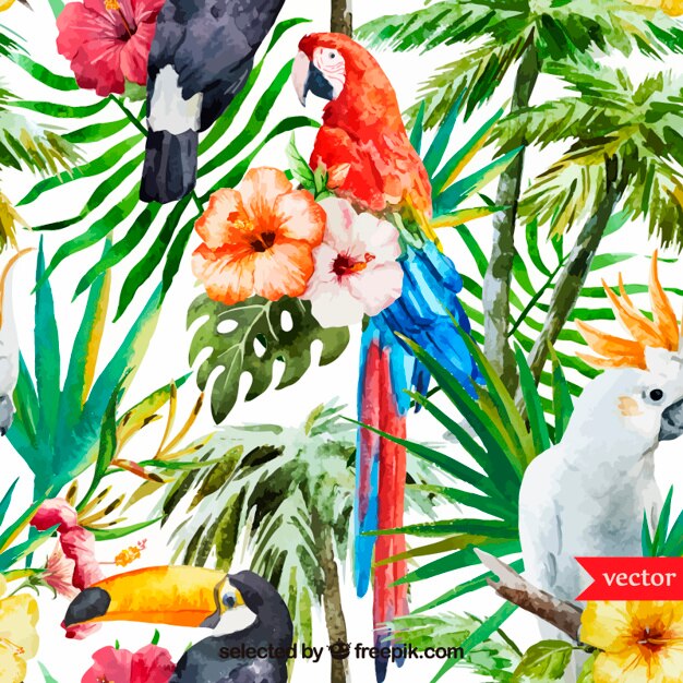 Vector gratuito fondo de acuarela tropical