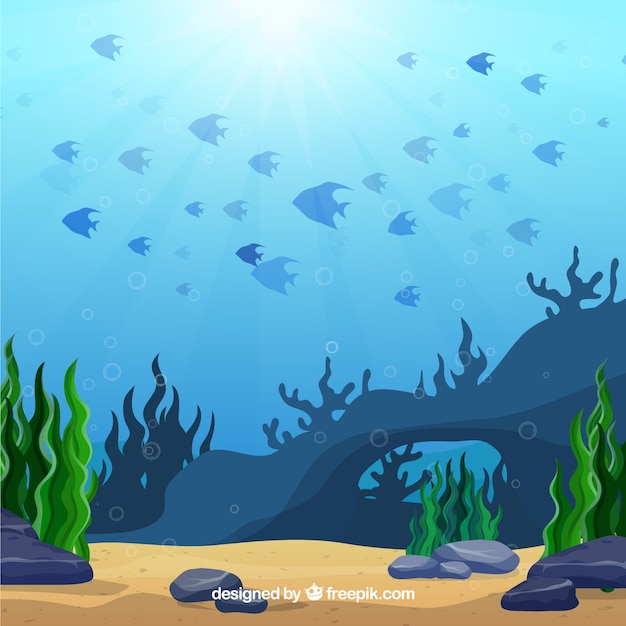 Vector gratuito fondo bajo el agua con animales marinos