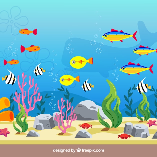 Vector gratuito fondo bajo el agua con diferentes especies marinas