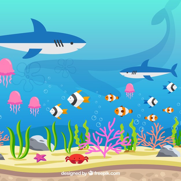 Fondo bajo el agua con diferentes especies marinas