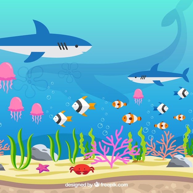 Fondo bajo el agua con diferentes especies marinas