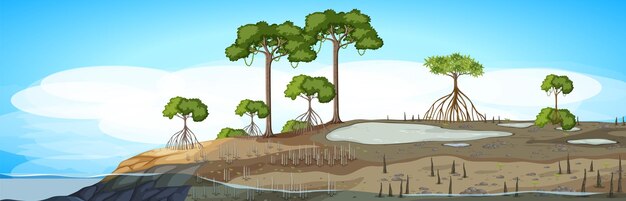 Fondo al aire libre del bosque de manglar