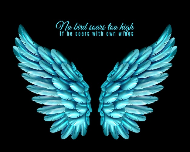 Fondo de ala de pájaro de color