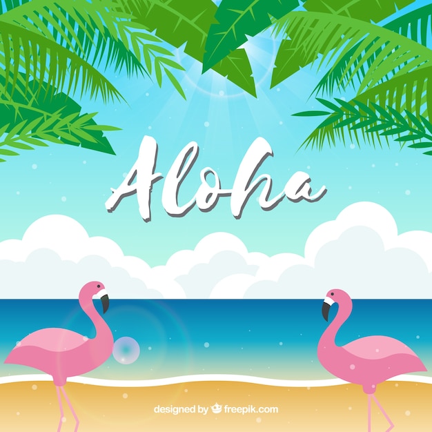 Vector gratuito fondo aloha flamencos en la playa