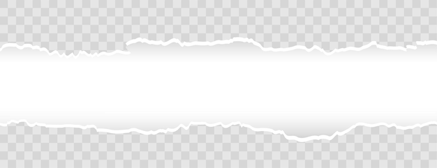 Fondo ancho de banner de papel rasgado rasgado