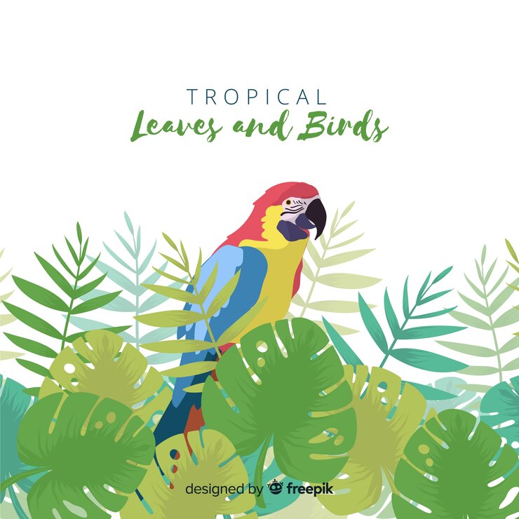 Vector gratuito fondo de las aves tropicales