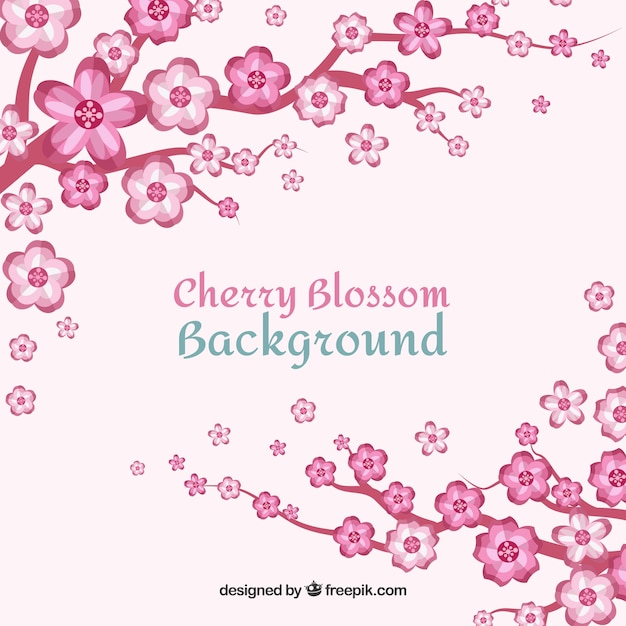 Vector gratuito fondo blanco y rosa de flor de cerezo