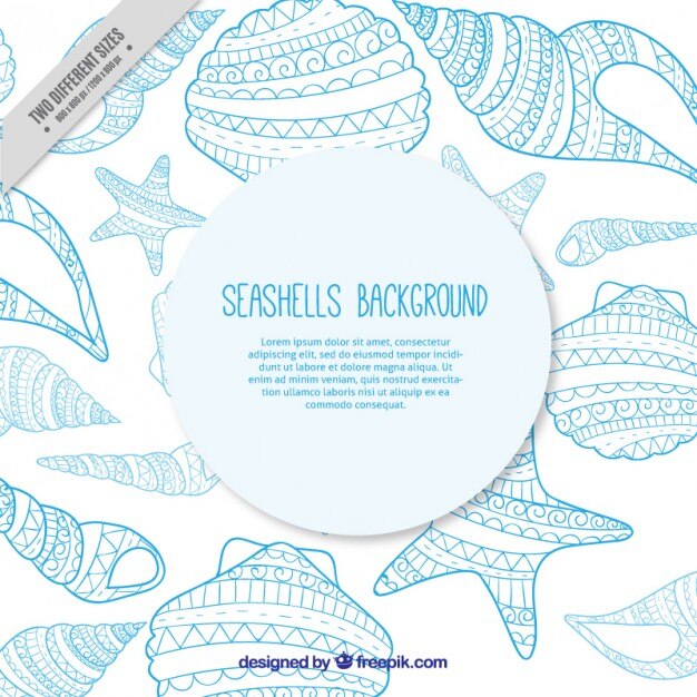 Vector gratuito fondo de bocetos azules de conchas del mar