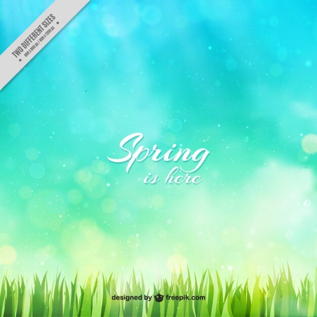 Fondo bokeh primaveral de césped
