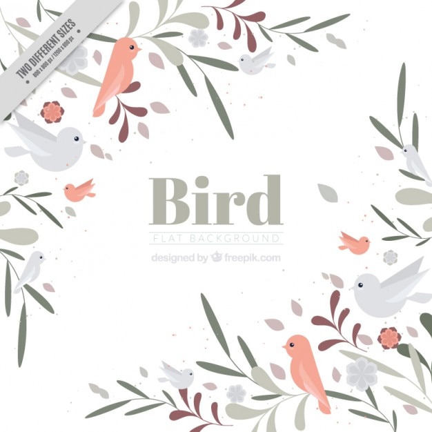 Fondo de bonitos pájaros dibujados a mano y hojas en estilo vintage 