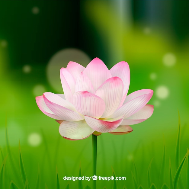 Fondo borroso con una bonita flor en un diseño realista