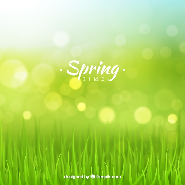 Fondo borroso de primavera