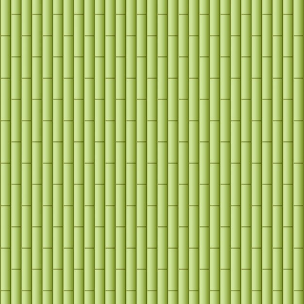 Fondo con bosques de bambú verde