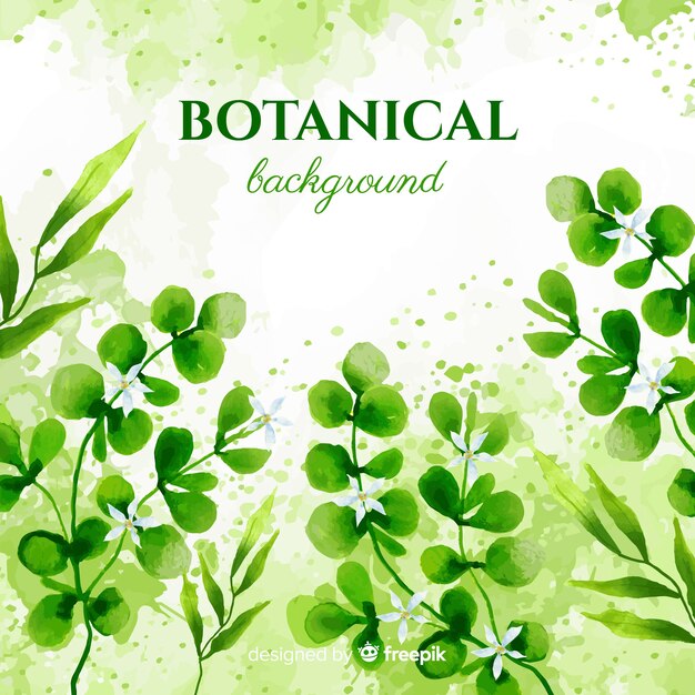 Fondo botánico en acuarela