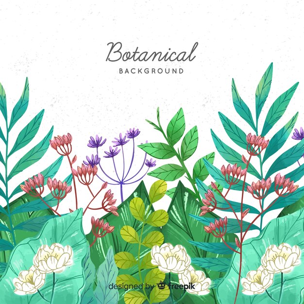 Fondo botánico dibujado a mano