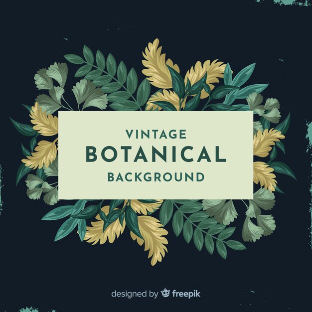 Fondo botánico vintage