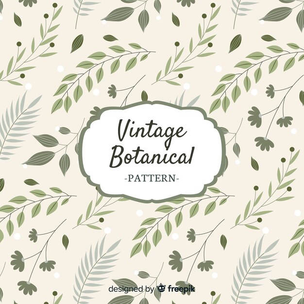 Fondo botánico vintage