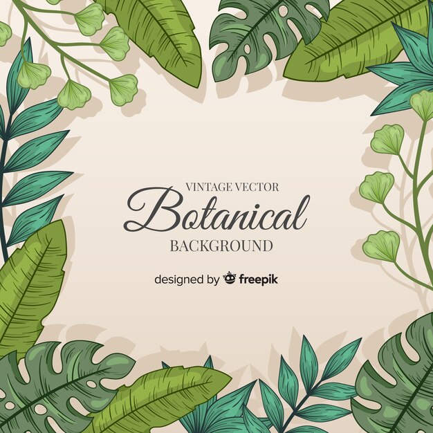Fondo botánico vintage