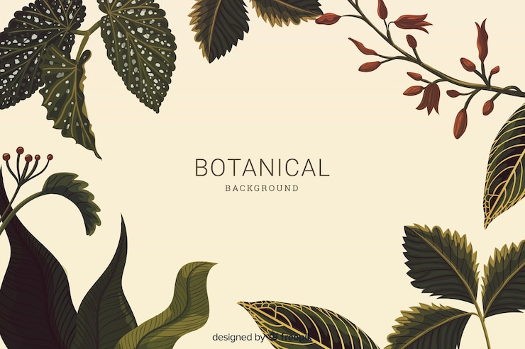 Vector gratuito fondo botánico vintage