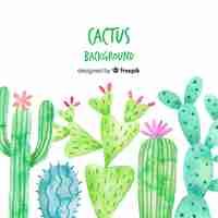 Vector gratuito fondo de cactus en acuarela