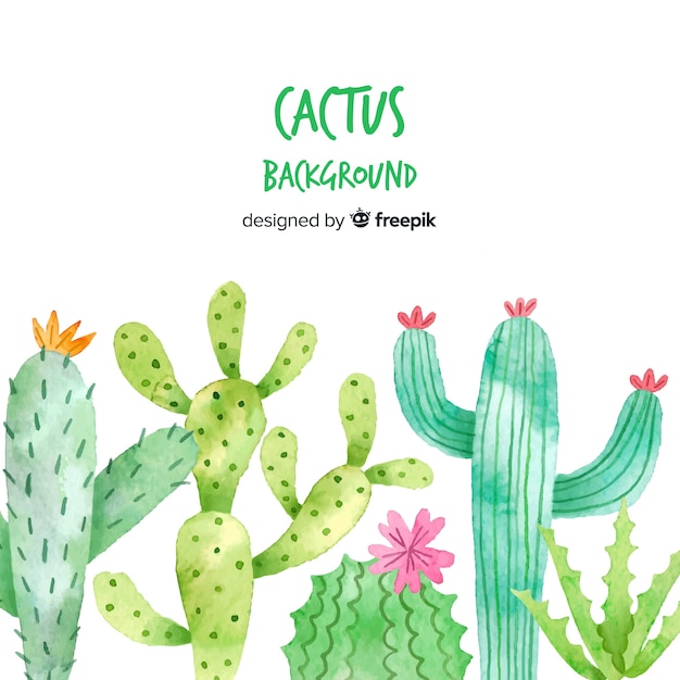 Vector gratuito fondo de cactus en acuarela