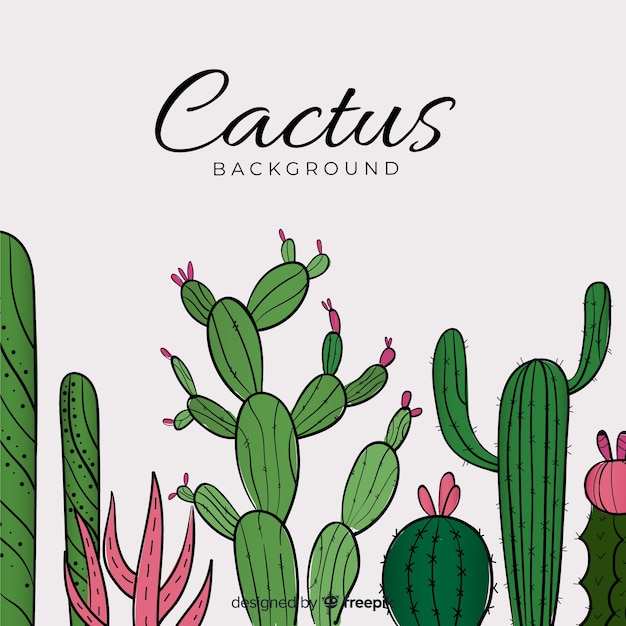 Fondo de cactus dibujado a mano