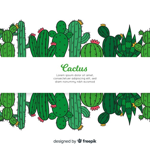 Fondo de cactus dibujado a mano